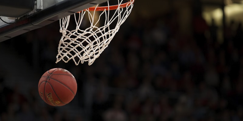 NBA洛杉矶湖人队篮球俱乐部标志